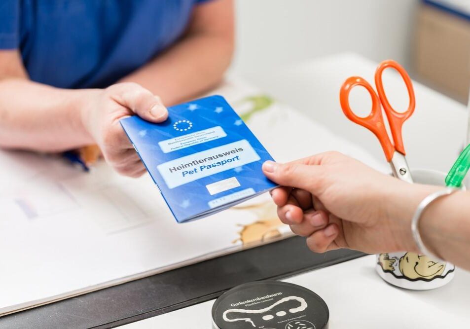 Close-up,Of,Female,Veterinarian,Giving,Pet,Passport,To,Pet,Owner's