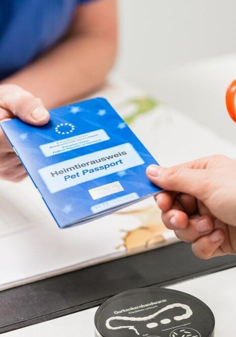 Close-up,Of,Female,Veterinarian,Giving,Pet,Passport,To,Pet,Owner's Close-up,Of,Female,Veterinarian,Giving,Pet,Passport,To,Pet,Owner's